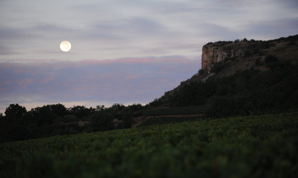 Visuel actualité Une mention premier cru pour l’appellation Pouilly-Fuissé