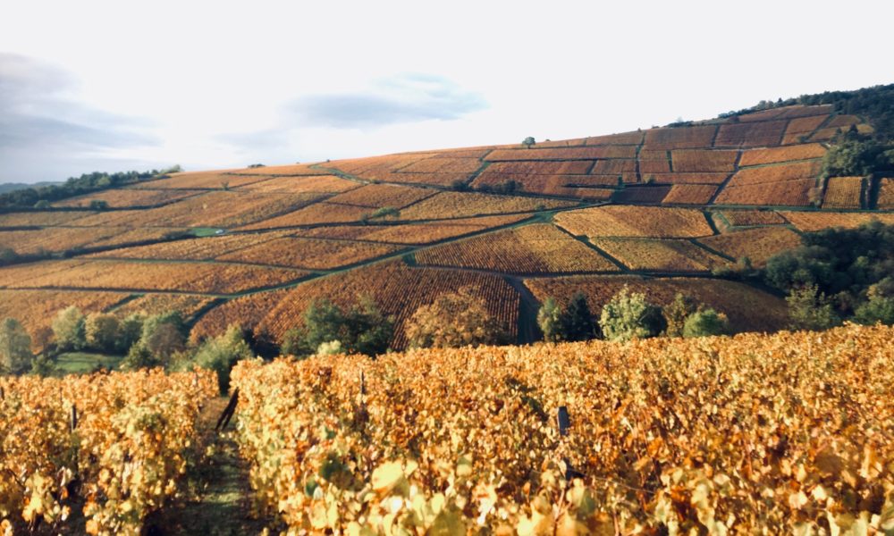 Visuel actualité Soutenir l’artisanat et les traditions de la Bourgogne