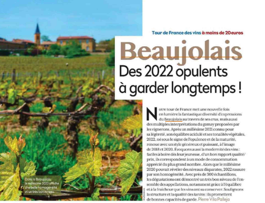 Visuel actualité Les Vins du Beaujolais à moins de 20 Euros – RVF
