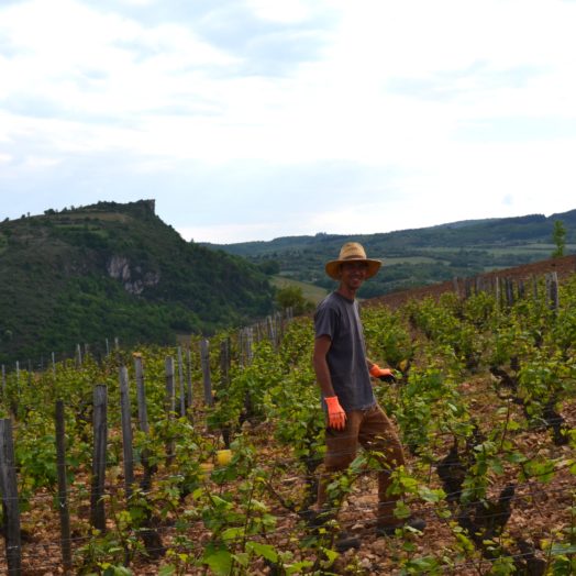 Domaine Merlin, Domaine Merlin, 