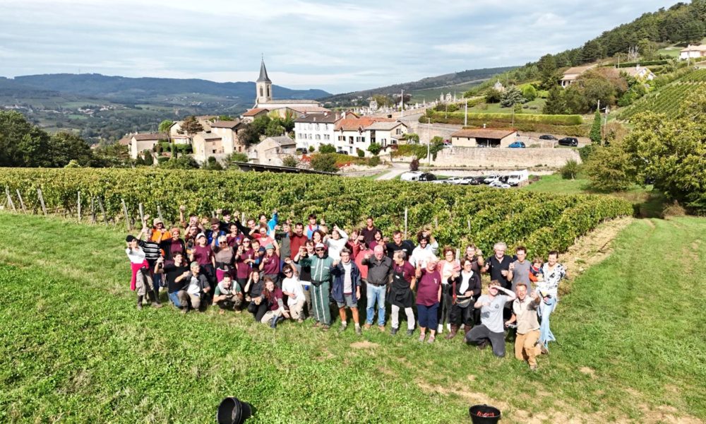 Visuel actualité Impressions de Vendanges 2024